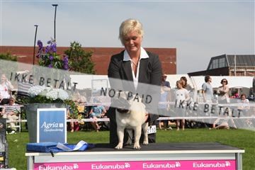 130370_se_02_IMG_6391.JPG