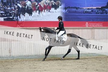181887_mtp_04_R62_8592.JPG
