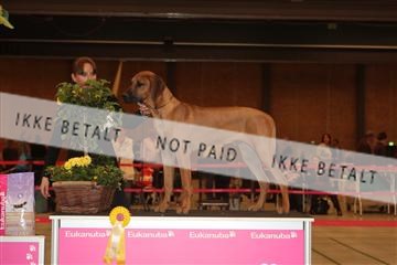 124188 _tl_02_IMG_9564.JPG