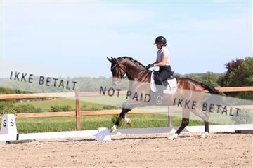 181449_bc_01R62_6007.JPG