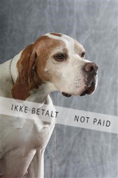 129608_le_ 02_0346.JPG