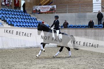 182241_kbb_01_Z094760.JPG