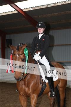 139835_sg_03_IMG_9274.JPG