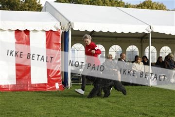 182009_kar_01__62_7291.JPG