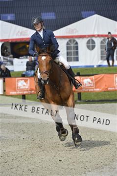 139644_abo_01__AB13838.JPG