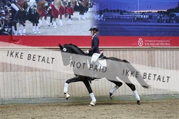 181887_mtp_05_R62_9870.JPG