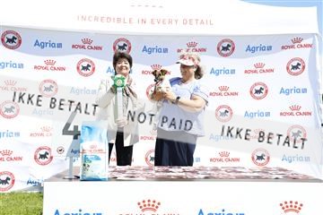 181564_kar_01__62_7717.JPG