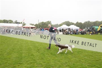 182009_kar_01__62_5613.JPG