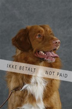 5493_sme _02__MG_9732.JPG