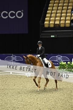 182194_kbb_01_Z096696.JPG