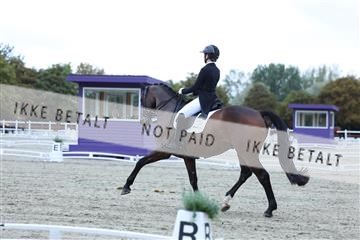 181923_mtp_04_R62_8746.JPG