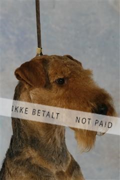 5493_sme _03__MG_9781.JPG