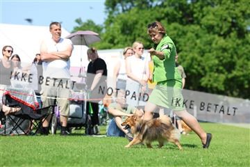 181564_rin_02_R62_3672.JPG