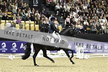 182194_kbb_03_Z091934.JPG