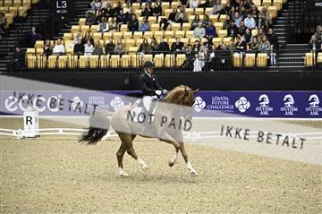 182194_kbb_02_Z098691.JPG