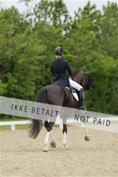 139835_sg_01_IMG_8032.JPG