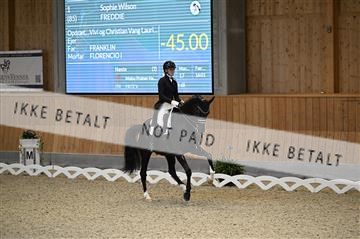 182176_kbb_01_Z093776.JPG