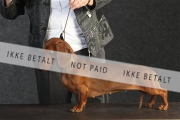 132082_le_ 01_IMG_0482.JPG