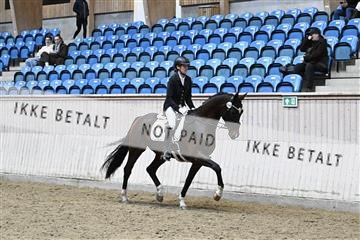 182241_kbb_01_Z094961.JPG