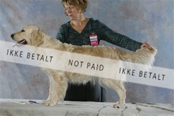 5493_sme _03__MG_9834.JPG