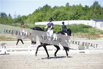 181449_kbb_01_6II9320.JPG