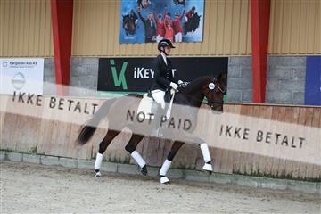 181867_mtp_02_R62_4452.JPG