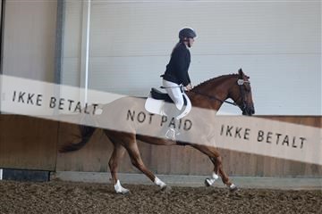181804_mlm_01_R62_9284.JPG