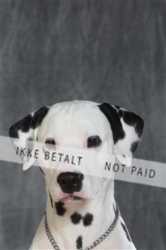 130054_le_ 03_0135.JPG