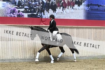 182241_kbb_01_Z093389.JPG