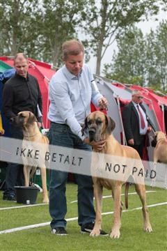 135379_tl_02_IMG_9340.JPG