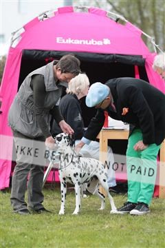 124188 _tl_02_IMG_9509.JPG