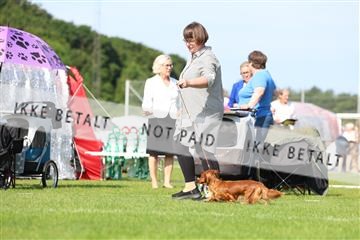 181564_rin_02_R62_1097.JPG