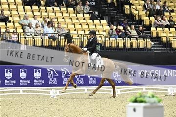 182194_kbb_03_Z090735.JPG