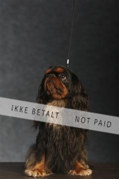 132082_le_ 01_IMG_0661.JPG