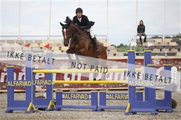 152762_nn _05_IMG_7722.JPG