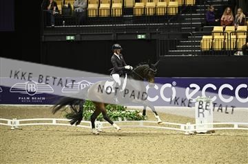 182194_kbb_01_Z096206.JPG