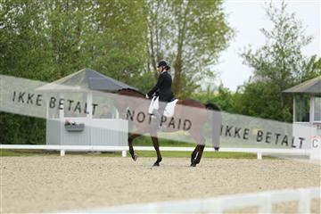 139835_sg_01_IMG_7627.JPG