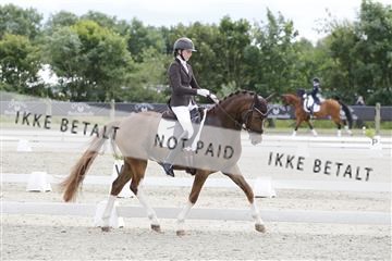 166078_rhj_01__J7R2496.JPG