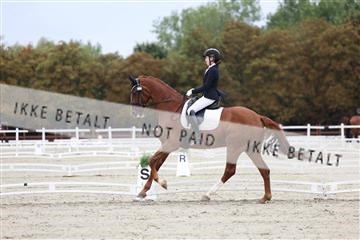 181923_mtp_01_R62_6407.JPG