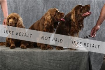 129608_le_ 01_0748.JPG