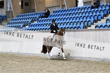 182241_kbb_01_Z093704.JPG