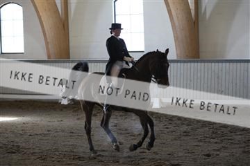 139267_kl_1_8M1Q6435.JPG