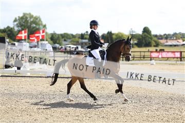 181894_mtp_02_R62_1499.JPG