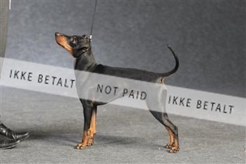 132082_le_ 01_IMG_1386.JPG