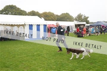 182009_kar_01__62_5620.JPG