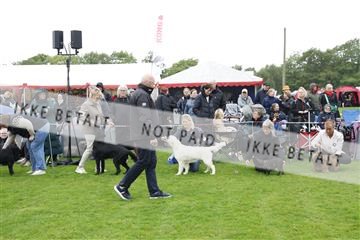 182009_kar_01__62_5273.JPG