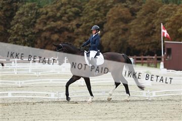 181923_mtp_02_R62_7109.JPG