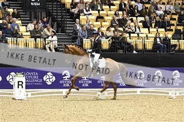 182194_kbb_03_Z090855.JPG