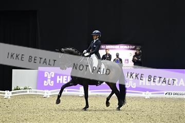 182194_kbb_03_Z091685.JPG