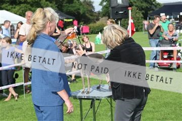 130370_se_02_IMG_6664.JPG